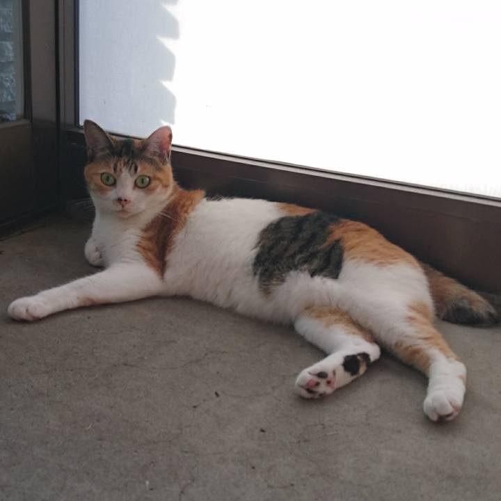 1a033e7a 72a9 47e8 a6b4 870e469221ff