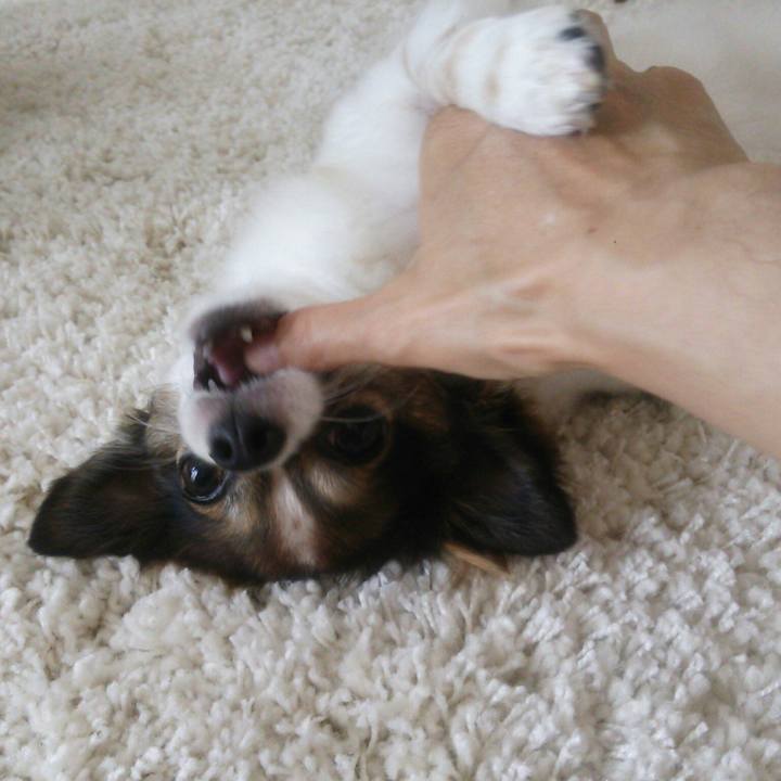 1a04534b af95 40e3 a707 b1c27f3e76e7