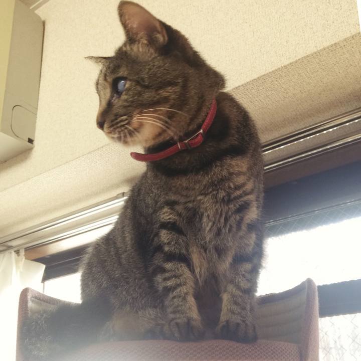 1a048075 cca6 45bd 8402 64e53f227527