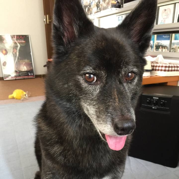 1a058a56 6476 4d54 ae05 6d343b199fd7