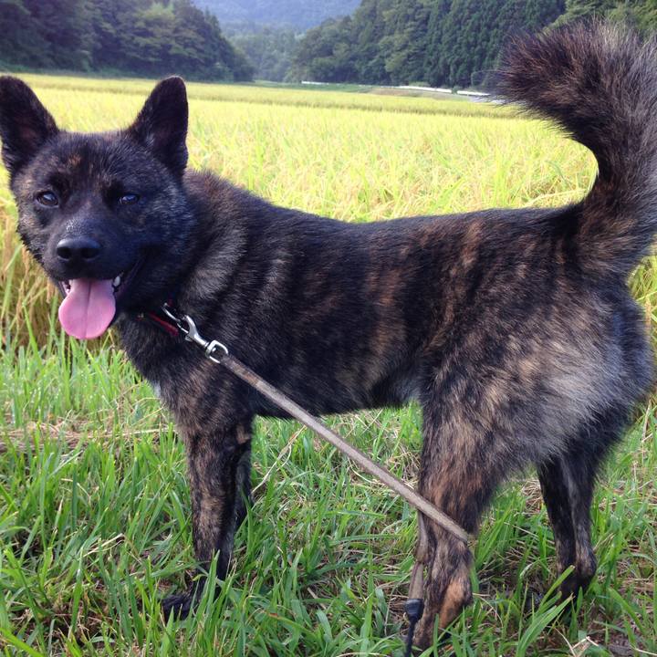 1a06d3b1 b7cc 4af9 b803 504984233955