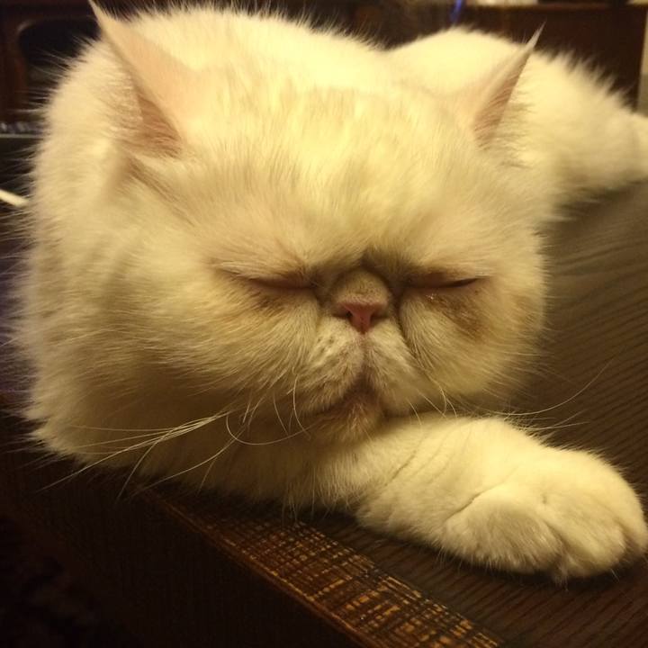 1a06f57a 0670 4566 86c6 6189cc4e1244