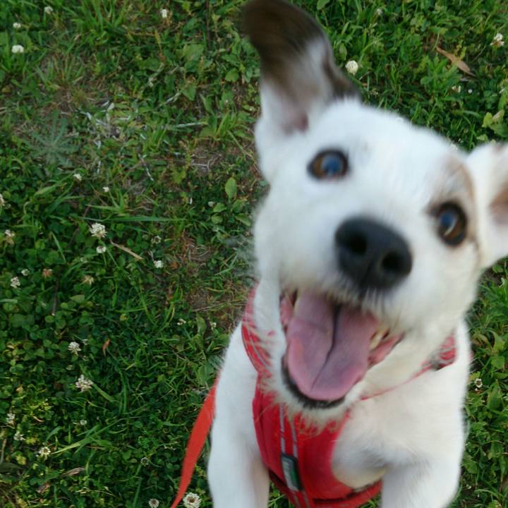 1a070731 1105 4dff b1a9 02a8dcad9cdd