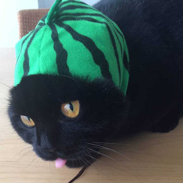 1a079ccc 2edf 41a1 8561 42dc0b9f8f96