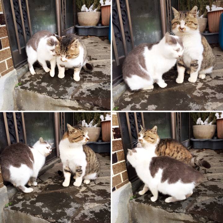 1a080fe2 1c26 4222 81d0 097b29ea12f1