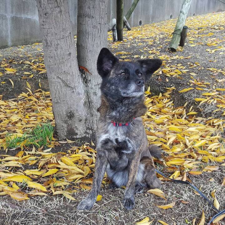 1a08510f fcc1 49af 8974 ee24935df92a