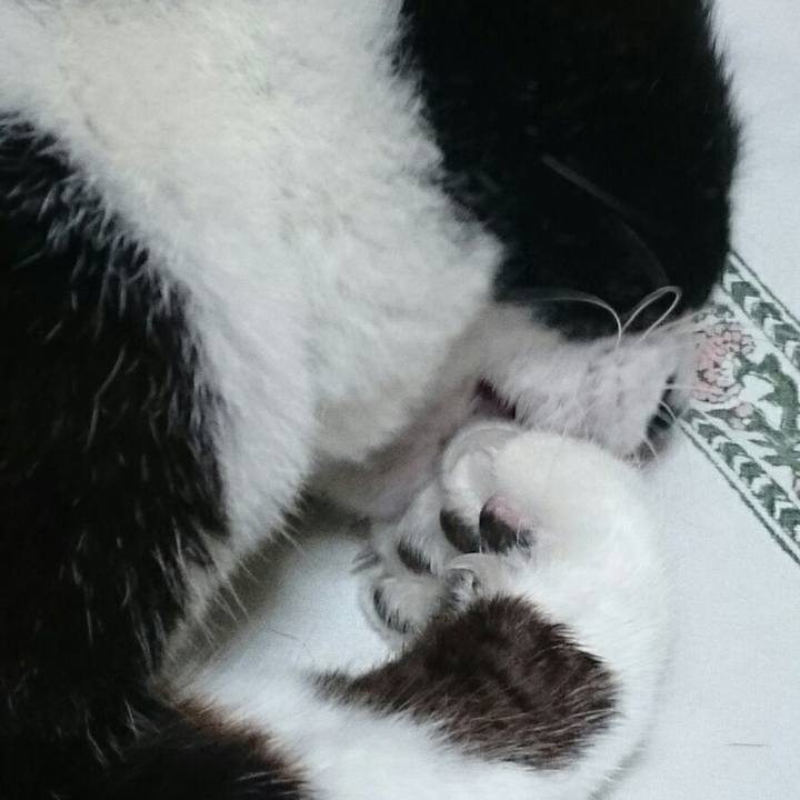 1a08704b 0b55 47ca 85dc cc7ddaeb5a3c