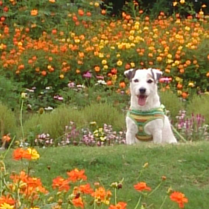 1a0a0490 849d 433a b26d 81e15deb094d