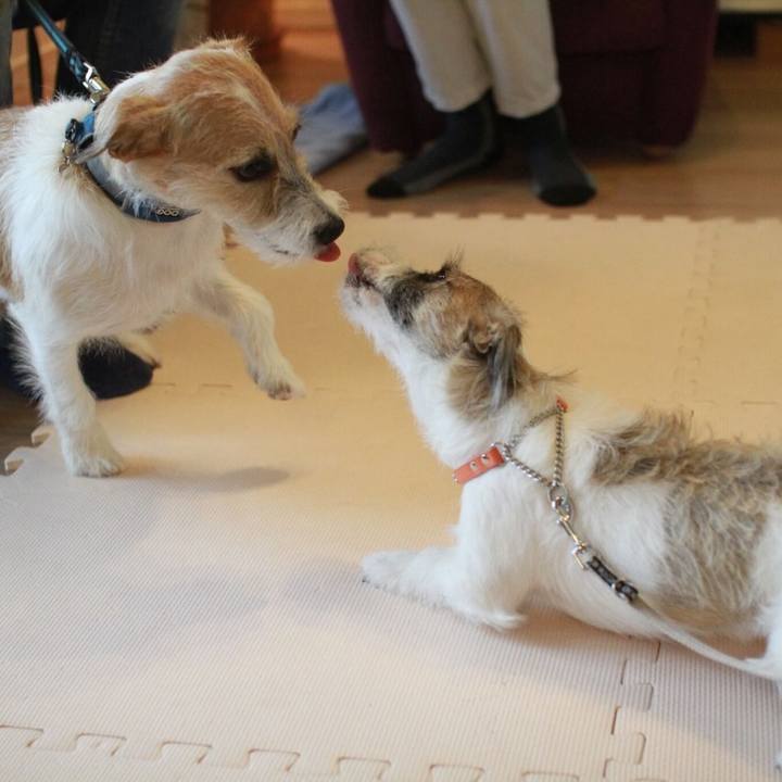 1a0a801e c2e8 458b 92c3 bc74672f0530