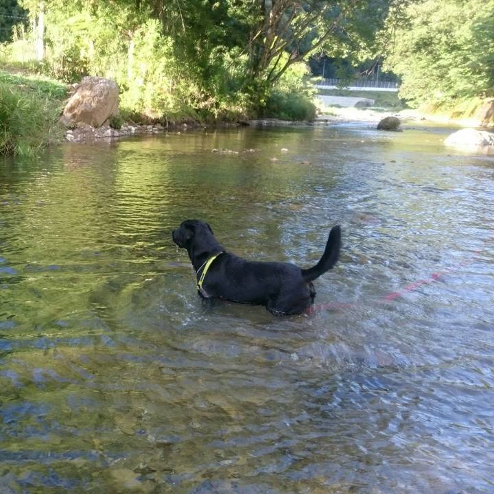 1a0b05bc 5a17 4e70 9eba 539e668e6d85