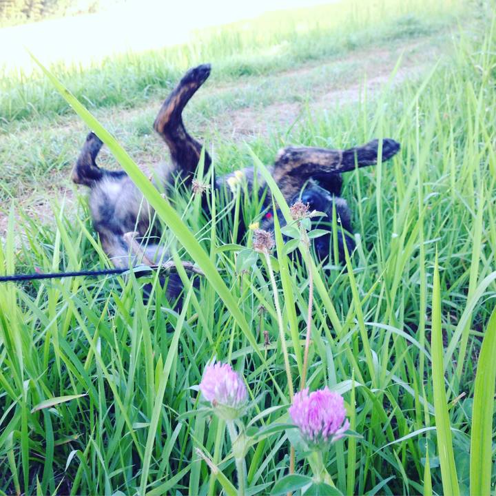 1a0b2046 85f1 4ff6 a65f adbe492e5f6a