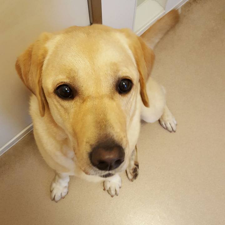 1a0b5f58 aaaa 4e84 a7d5 7232349baa1f