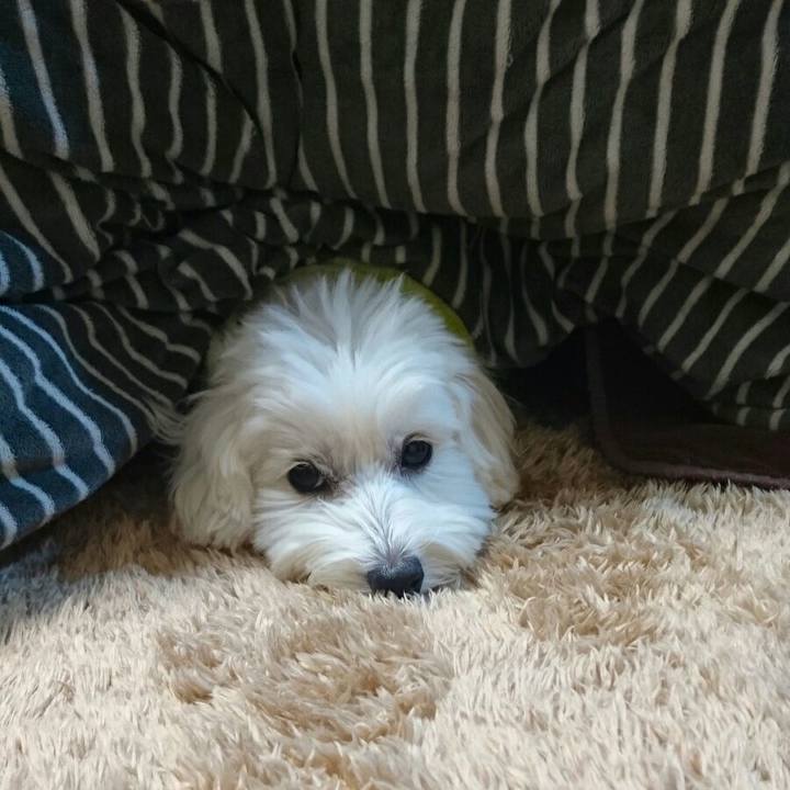 1a0b9739 b33a 4ffa 96b7 e1fee8e113c8