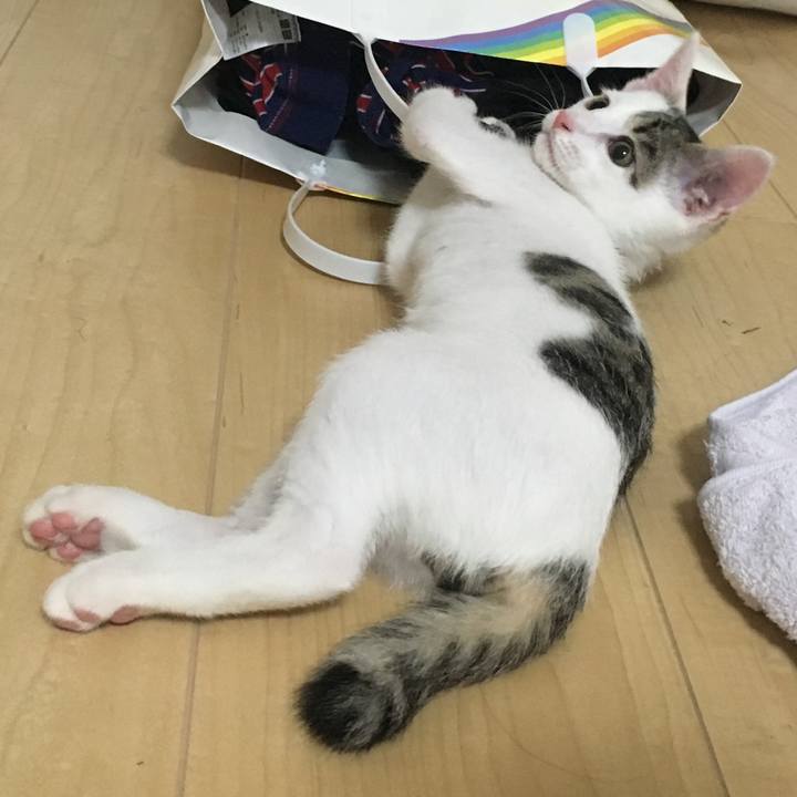 1a0bb840 f0c4 4cc1 a551 704f3d41c754