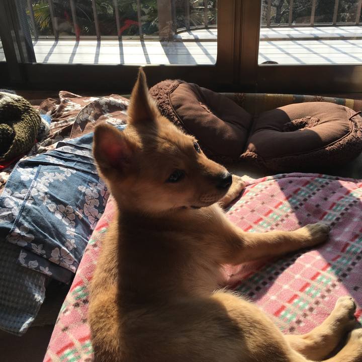 1a0c9b6e e491 4649 a945 cef890be6c53