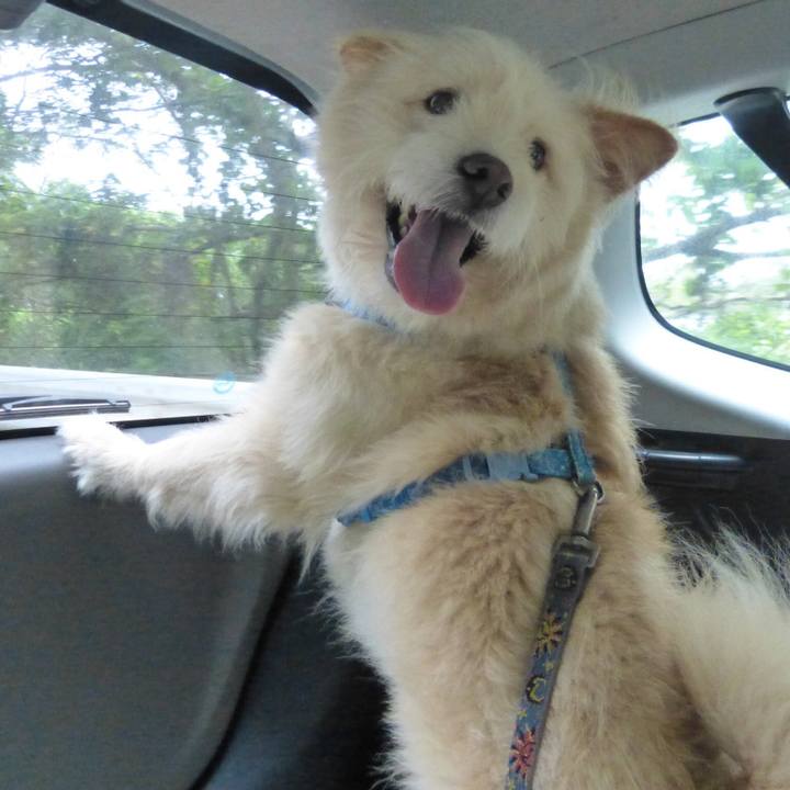 1a0e89c2 b46f 4f62 b370 c6a4018b7216