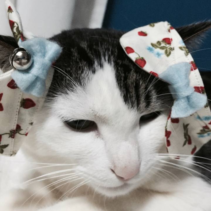 1a0eb11c 8723 46e5 a7ad 0fefd0891039