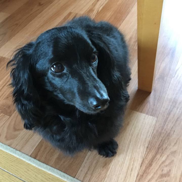 1a0edc17 f550 4ad2 b10b a3cc001f9aa0