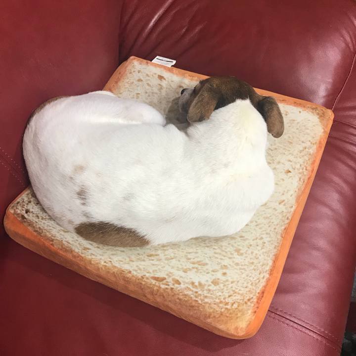 1a0f443e cf6d 4fa2 81e4 fff25b0a201b