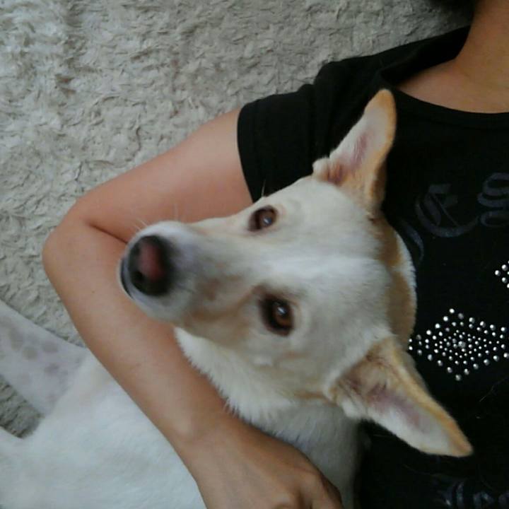 1a102b0a 7762 4b51 8a95 6e5fbf38ad42