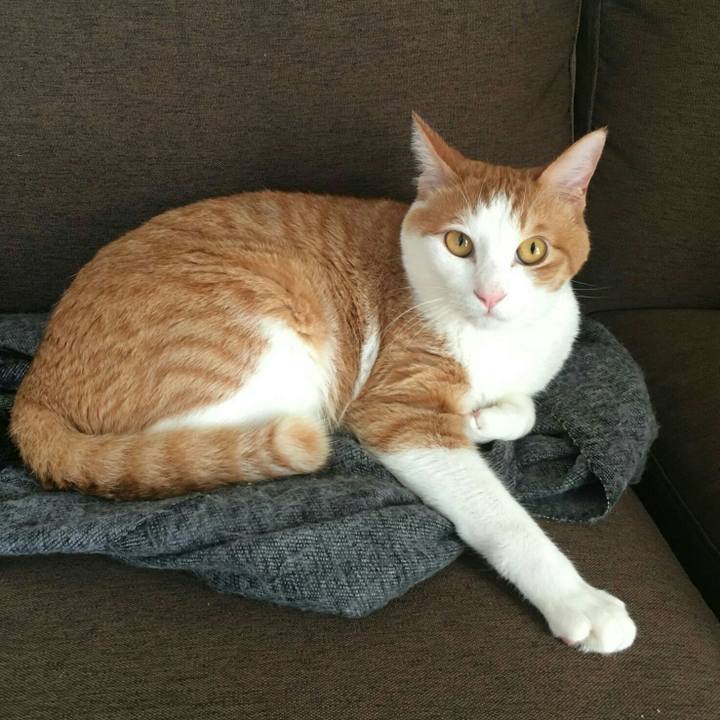 1a10ad29 7638 4d51 b642 700ddf5d22ba