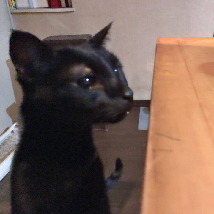 1a10fe2b 067f 491a 9dcf db3685bd1424