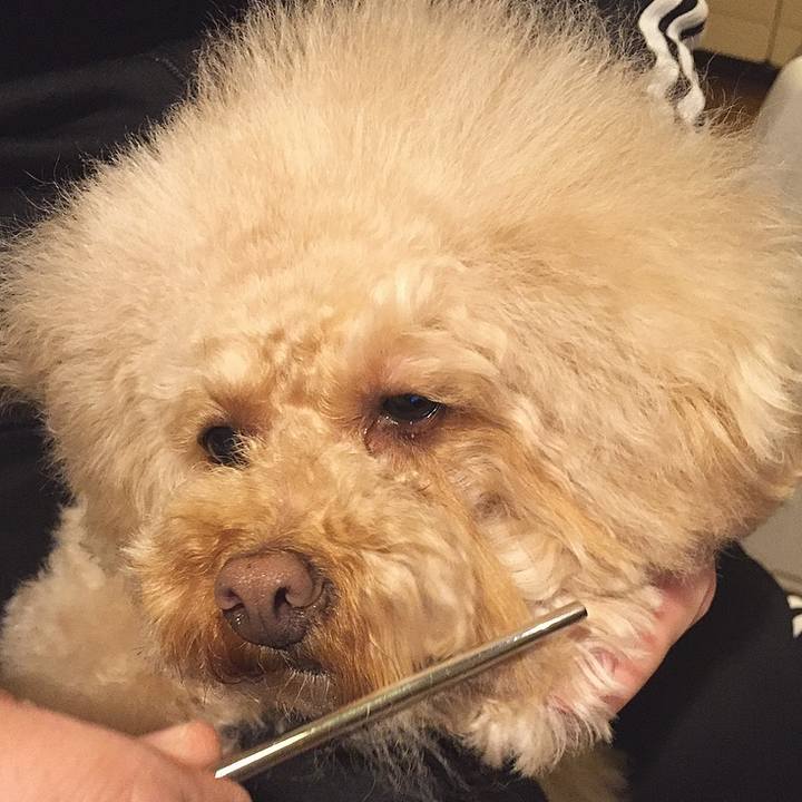 1a12eaad f245 4227 b01b 23e2c4e1949b