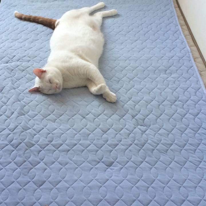 1a13112a 804b 4d9a a595 61b9f41fcbb8