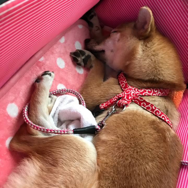 1a1312e9 7cd7 44ed 8e3f 1f14b469b0d3