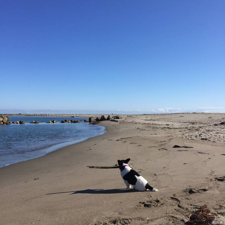 1a1347d5 34e2 40f8 b0b0 220afc98117f