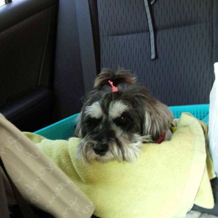 1a137879 fc77 4762 a1e1 39386cde446b