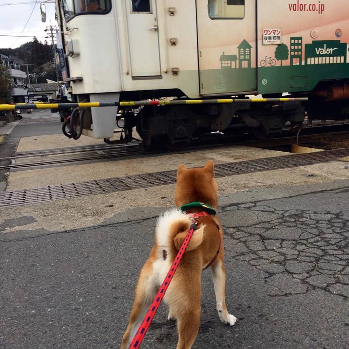 1a13da18 7c9a 4e78 b359 de182bc0608d