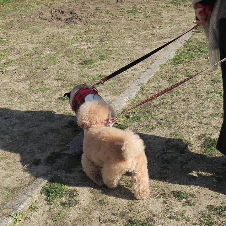 1a141338 f403 4ae3 b80f 44928e28d40c