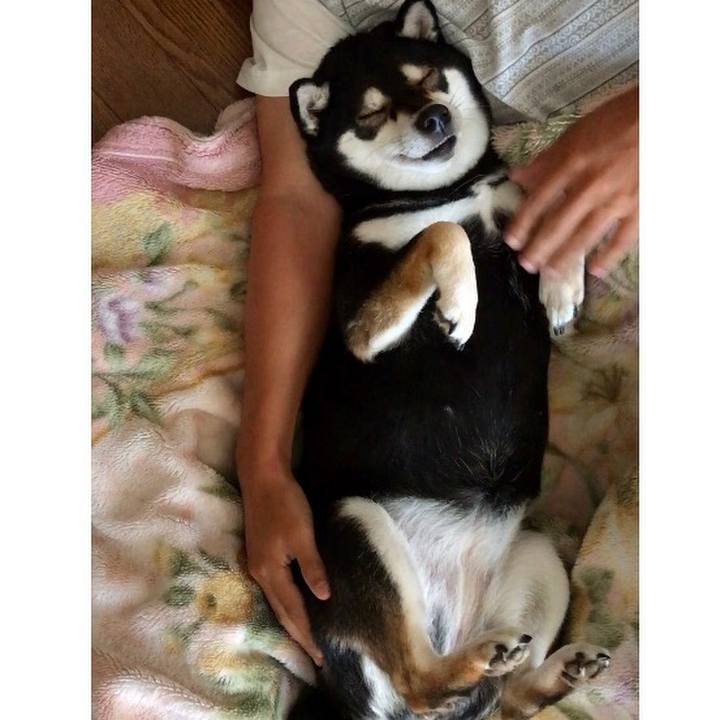 1a147ffb ee13 431e b55b 9c60c07f51ff