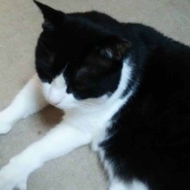 1a1481c1 b331 491f 8c8c eeb19a1eb5a3