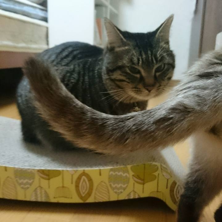 1a14b88f b9bf 4d4a 8b0a 05028e54d95b