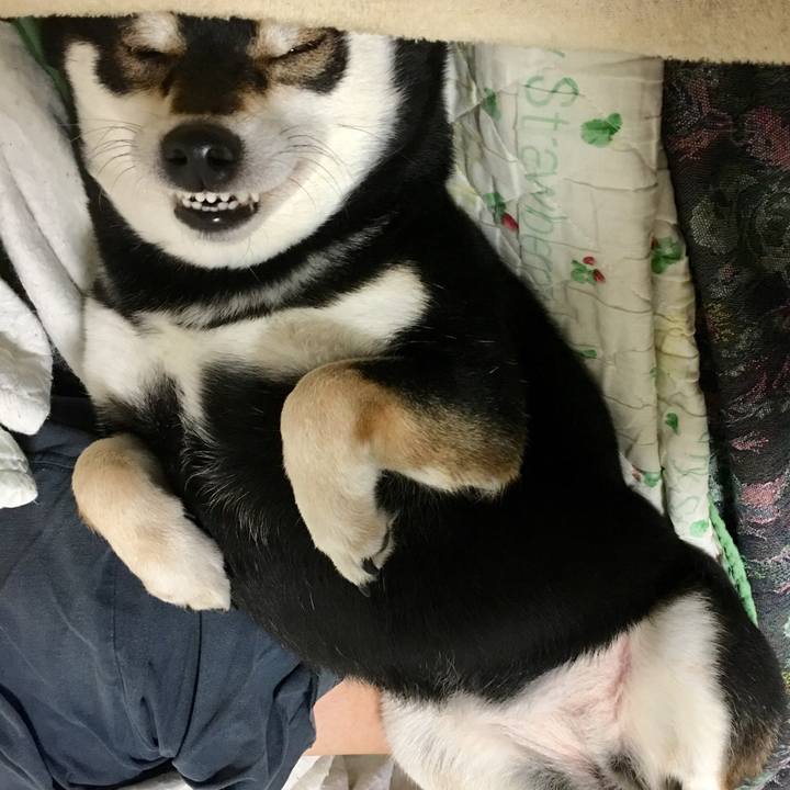 1a1519b2 a75f 4b57 9f22 0ab2eccf2e74