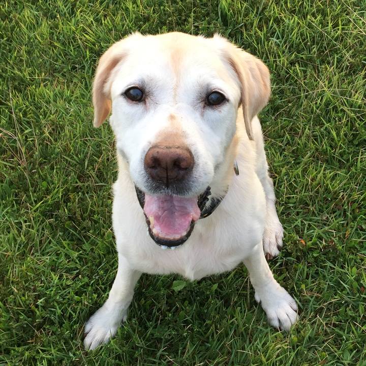 1a158661 cb58 4de7 b4c5 c1e588a81458