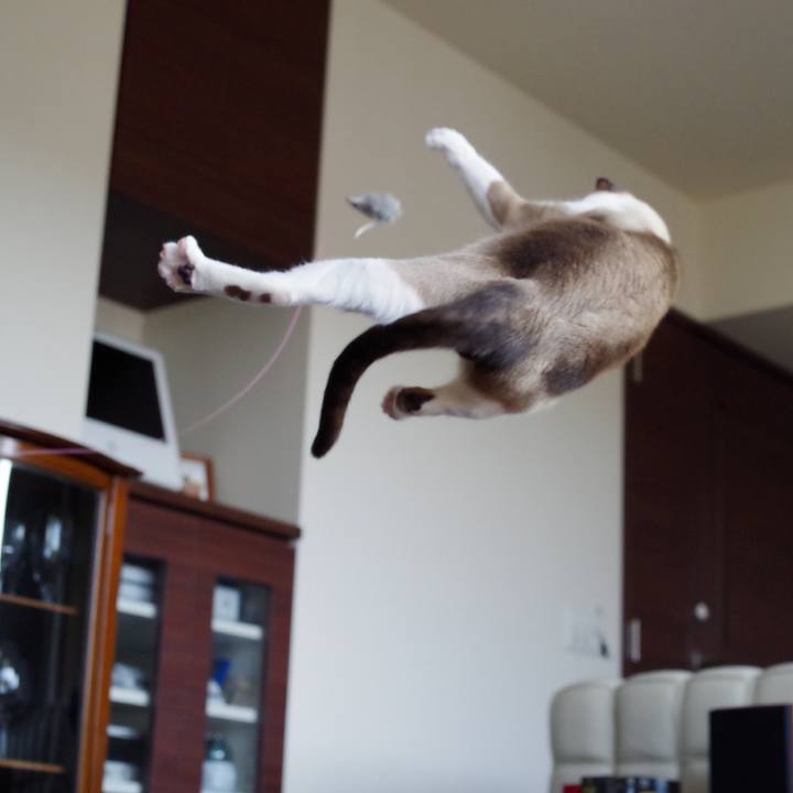 1a15f00d b298 49b7 a9a8 22f20ca366b1