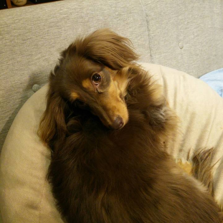 1a1644bc 2ef4 4cb6 be3f 255899c995fd