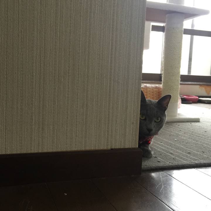 1a166204 c81c 42f3 8a69 c8a3cc670eac