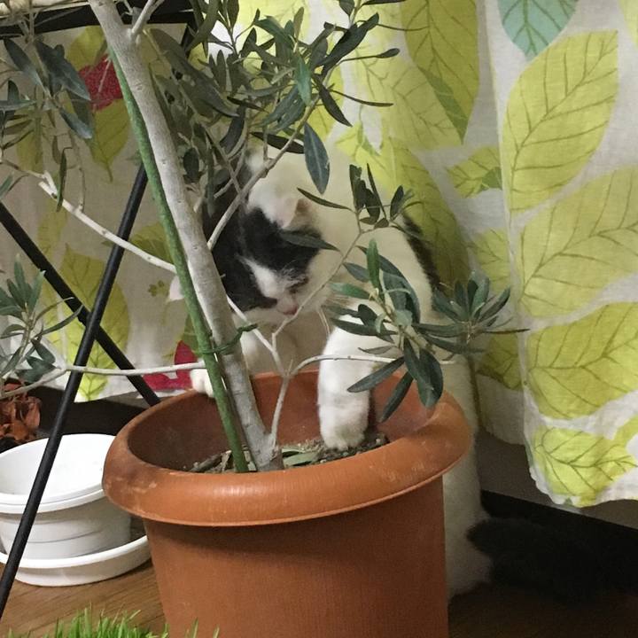 1a16b8fc 4bdc 469e 8b09 e4c04620ab02