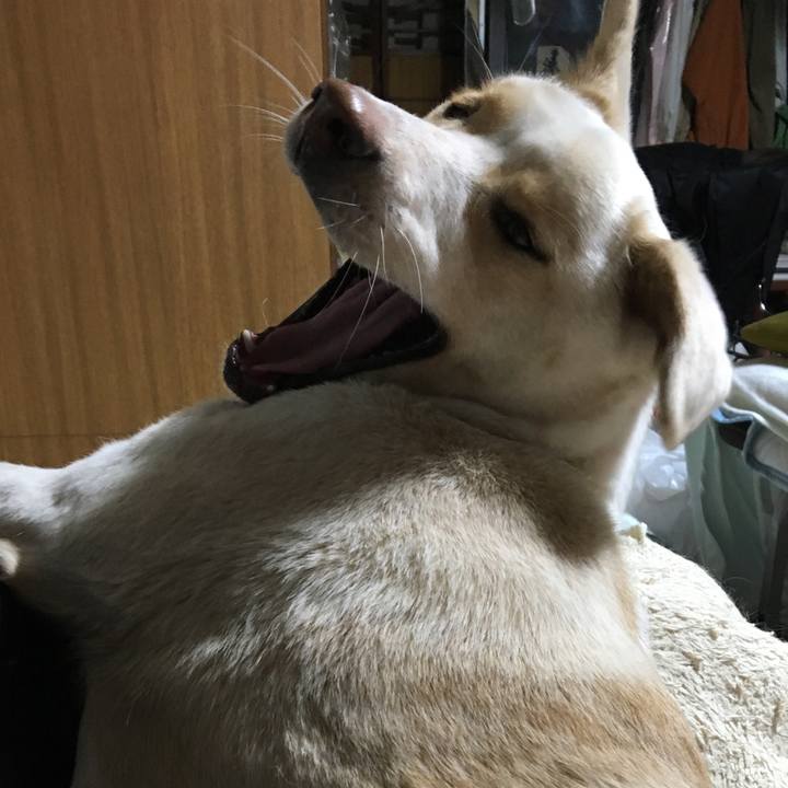 1a176b2f b68d 49a4 bd55 15fe7196e5df