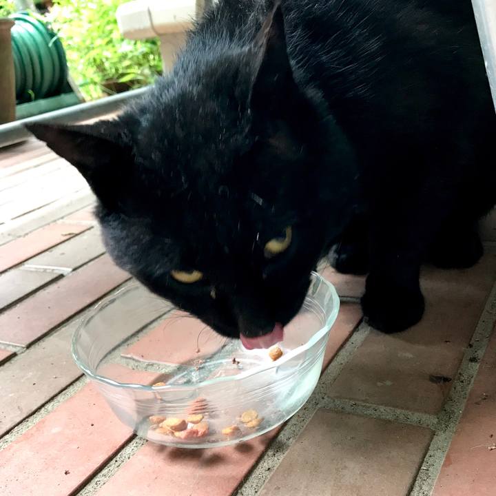 1a177ed5 7afd 412e 8174 0117129f0f27