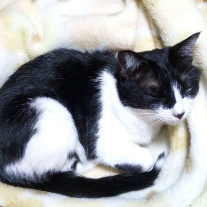 1a177fa2 1f6f 4c27 984f de74f3b88361