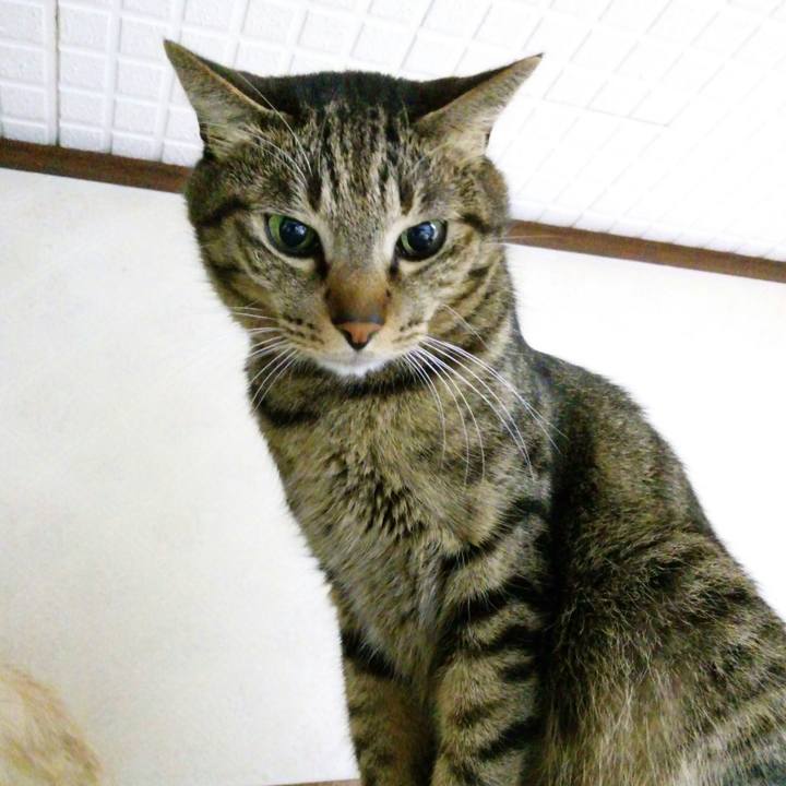 1a17e12e 526f 43cc ade0 283b9d5fd38d