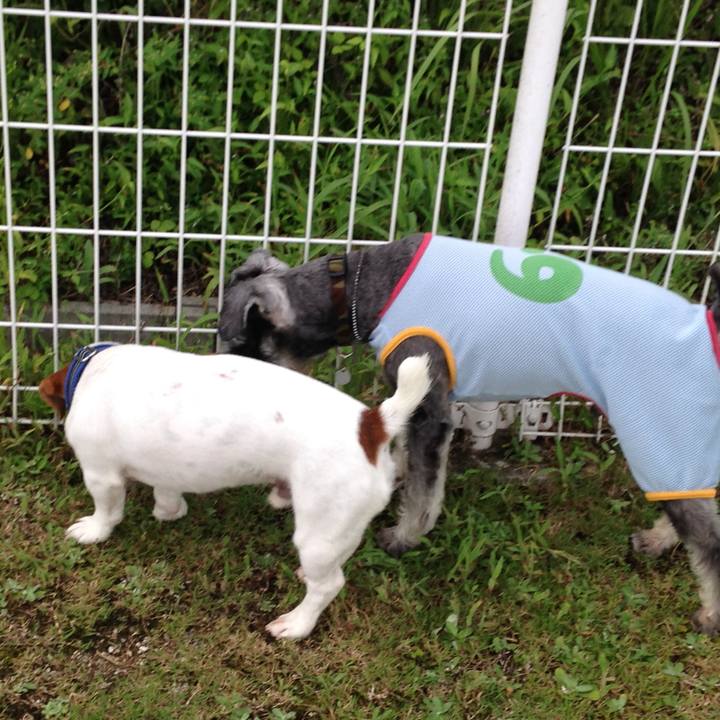 1a182e93 6428 4599 98d2 fcfdbe7f0512