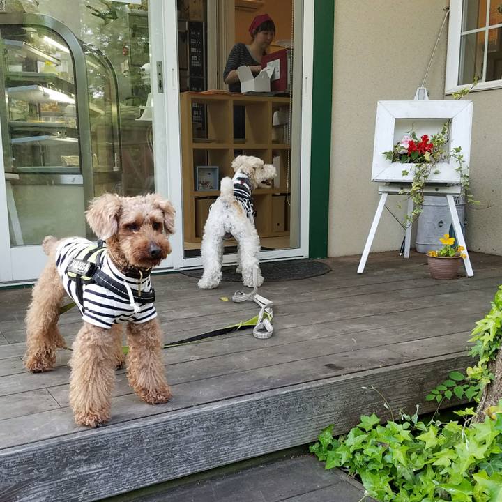 1a185f0e a74b 4135 9a9d e862519789ab