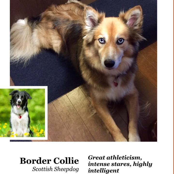 1a18f097 0972 42c8 990c ee4a6b5bc815