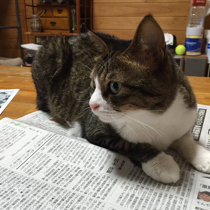 1a191016 8f45 4c41 b2fe 329bc1c4c126